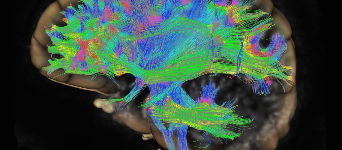 What brain circuits have to do with mental illness